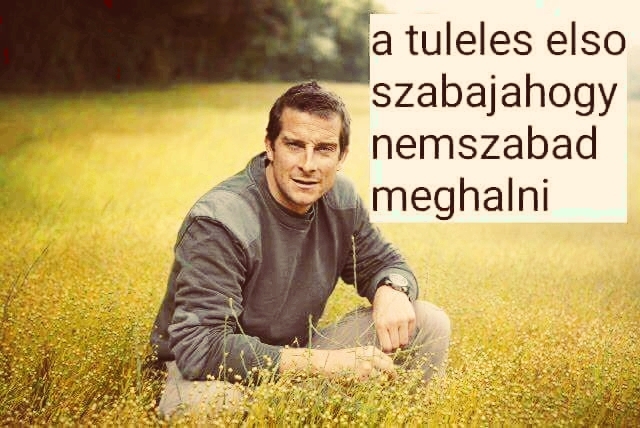 Bear Grylls