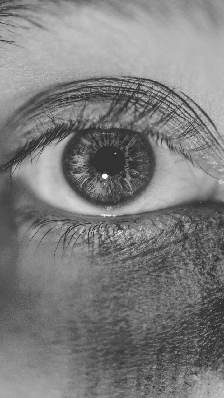 das Auge