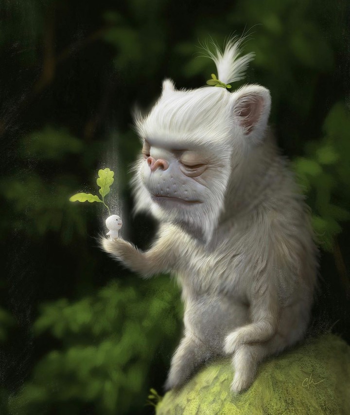 funny cute monkey