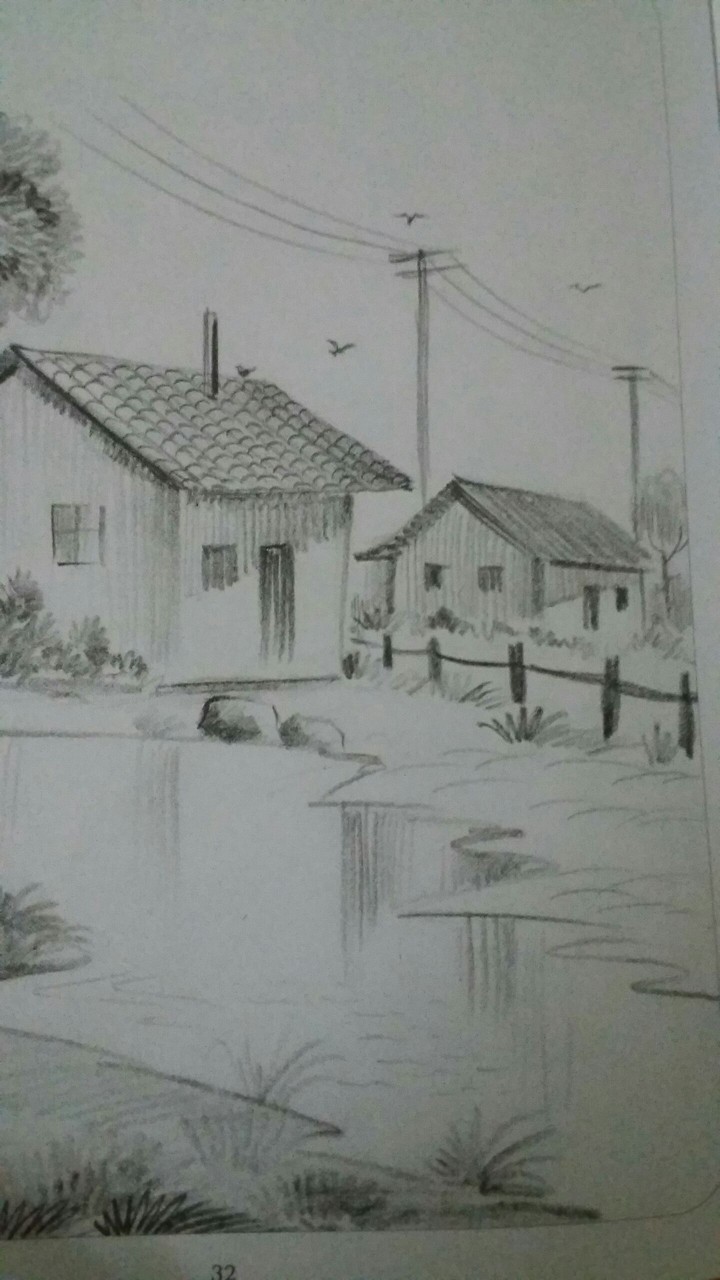 landscape of village