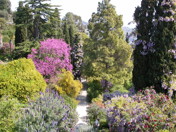 giardini hambury