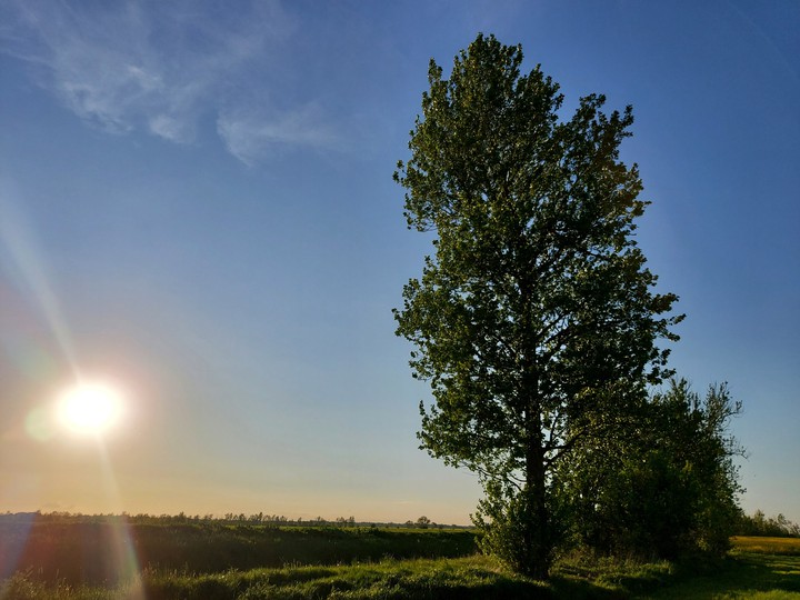nature