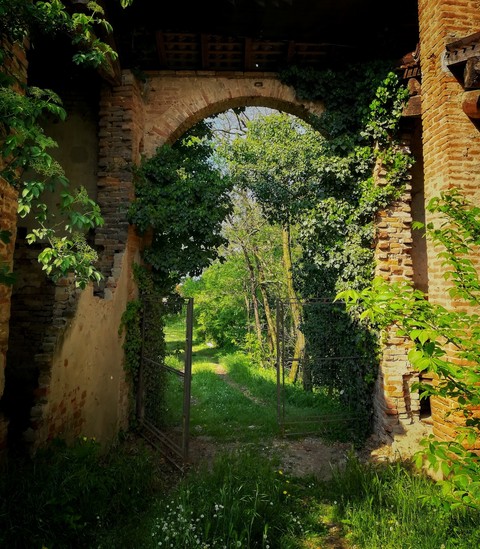 the secret garden