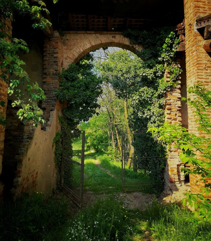 the secret garden