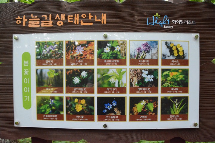 풍경이미지
