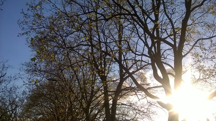 beautiful world