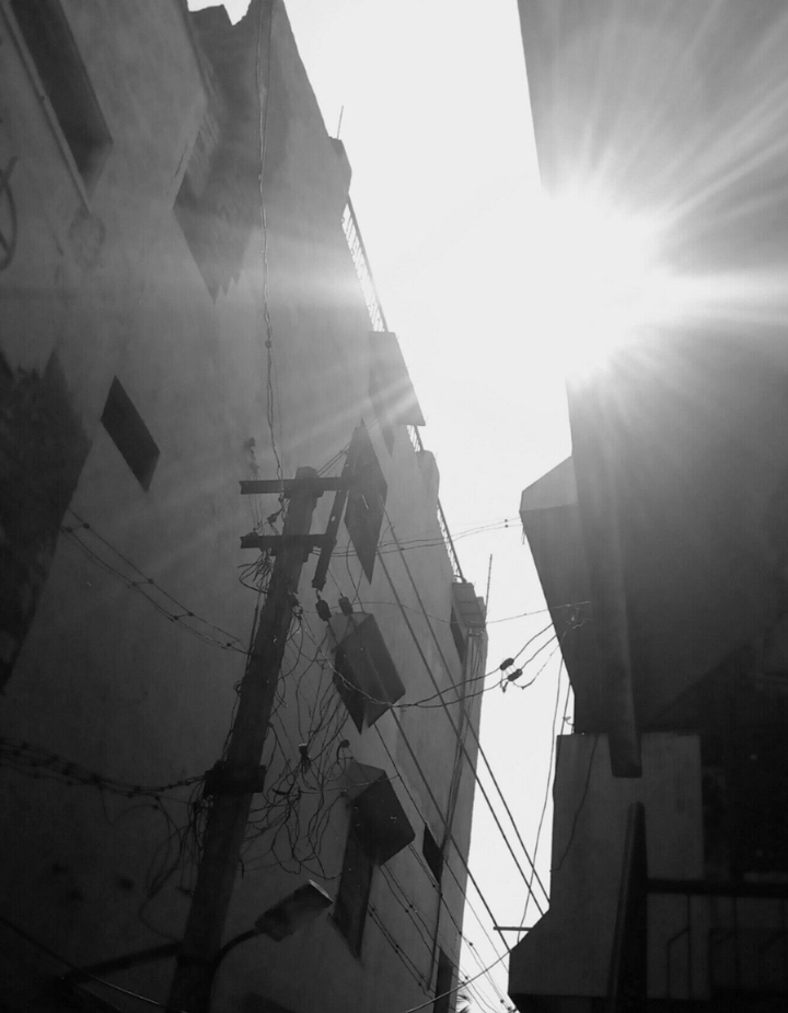 Sun rice