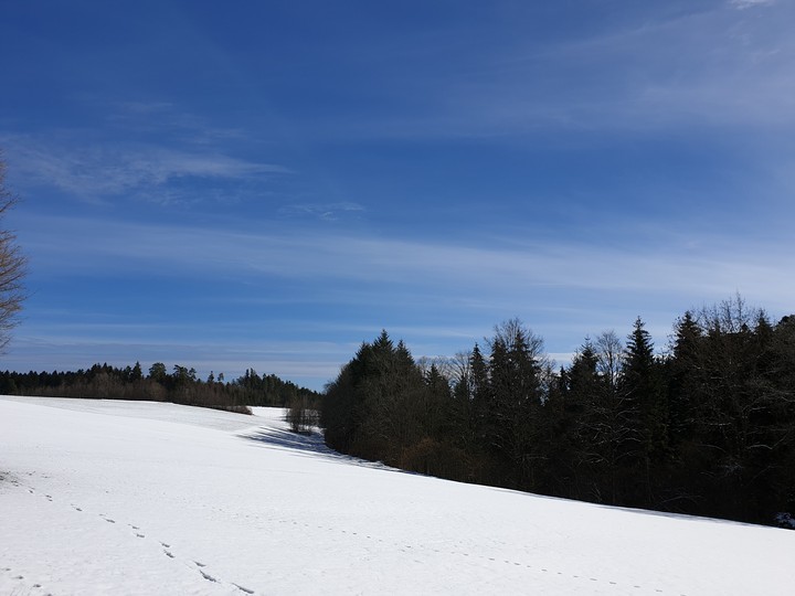 Winter