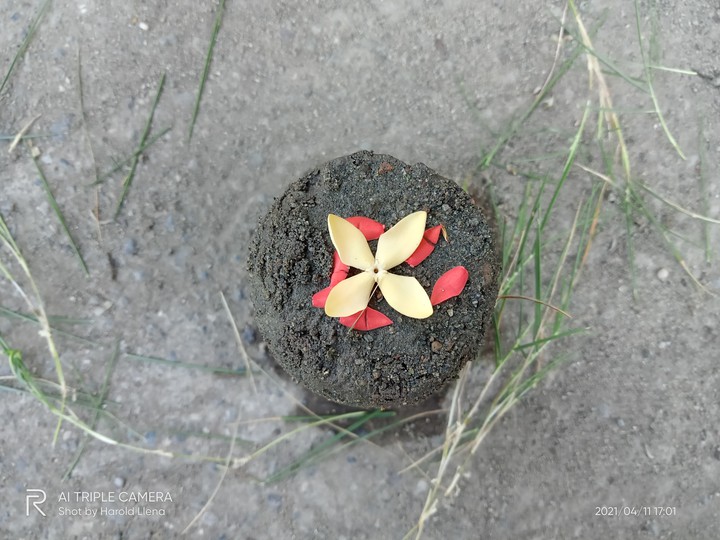Mini Sand Castle (1) by Harold