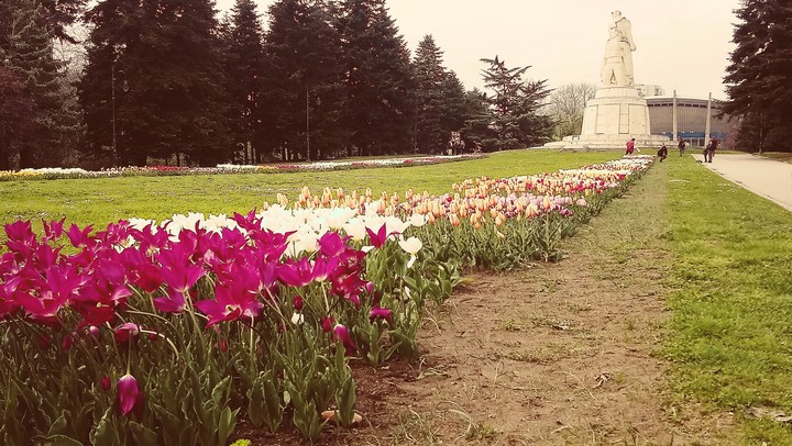 Varna spring