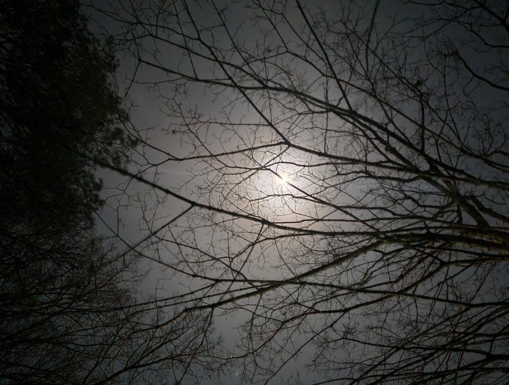 Foggy moonlight