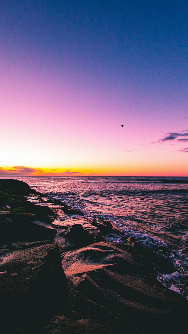 sea