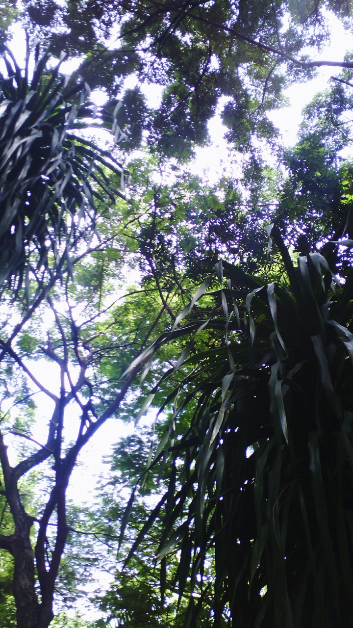 nature no filter