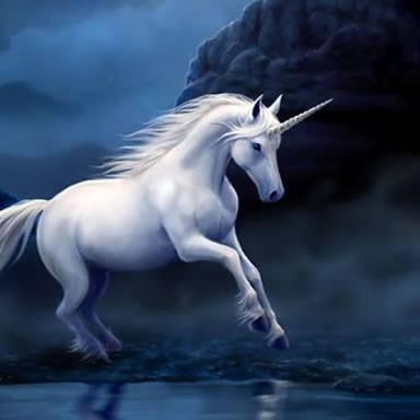 unicorn