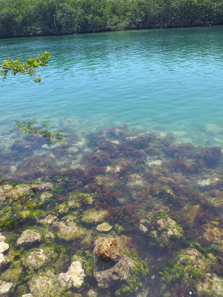 laguna Nichupte Cancún México