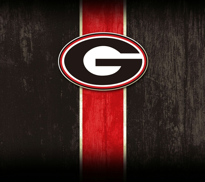 Georgia bulldogs