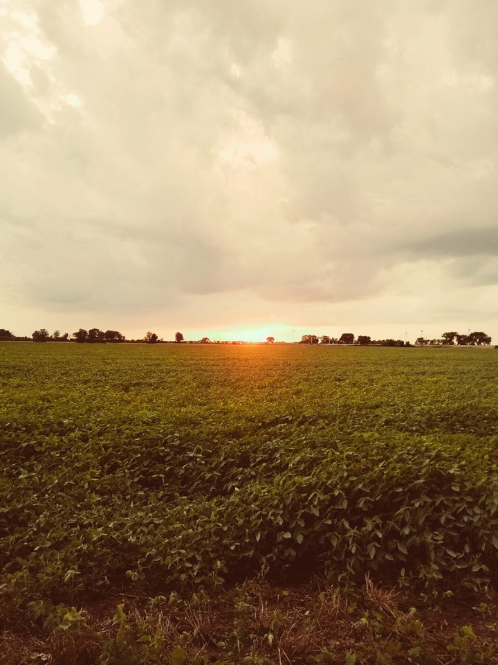 Sunset on the farm