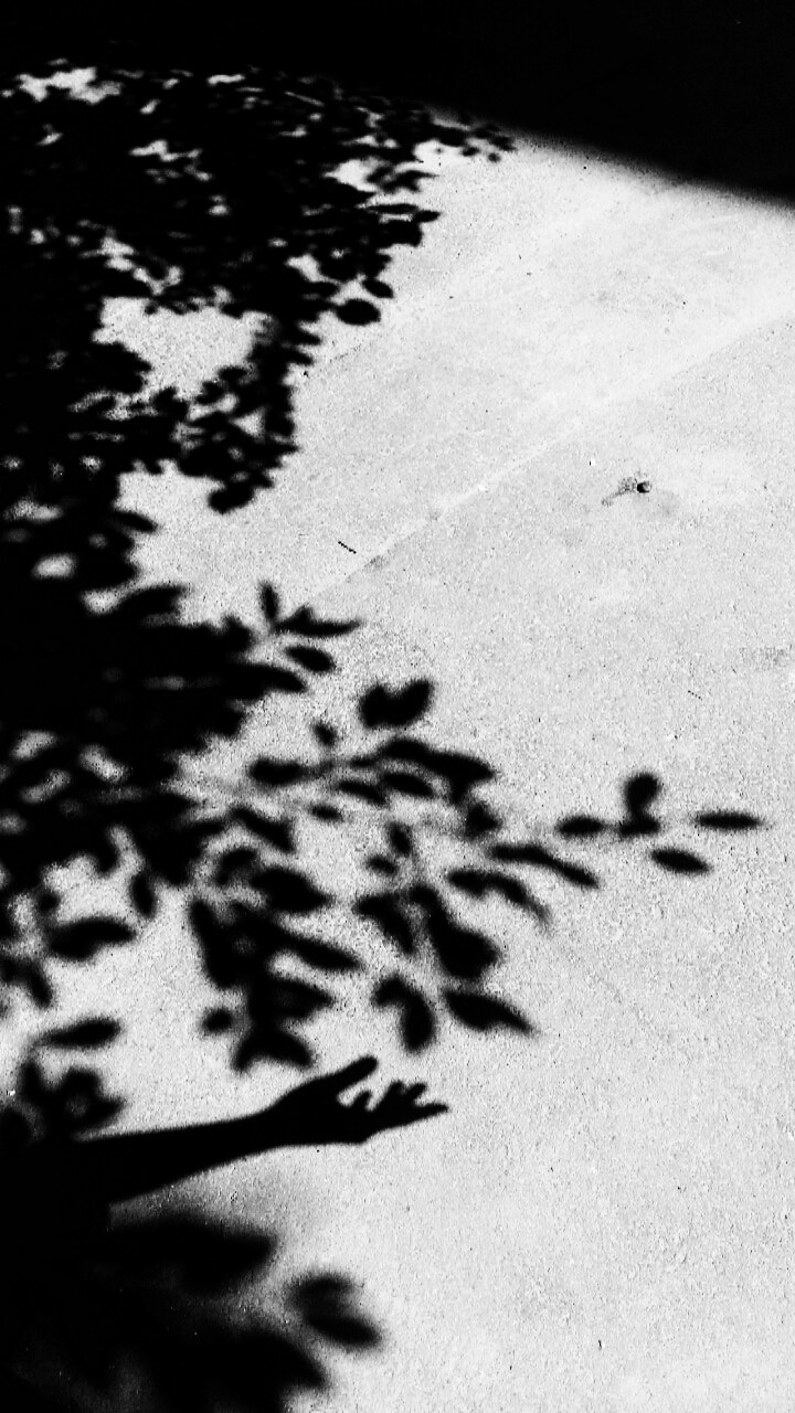 shadows