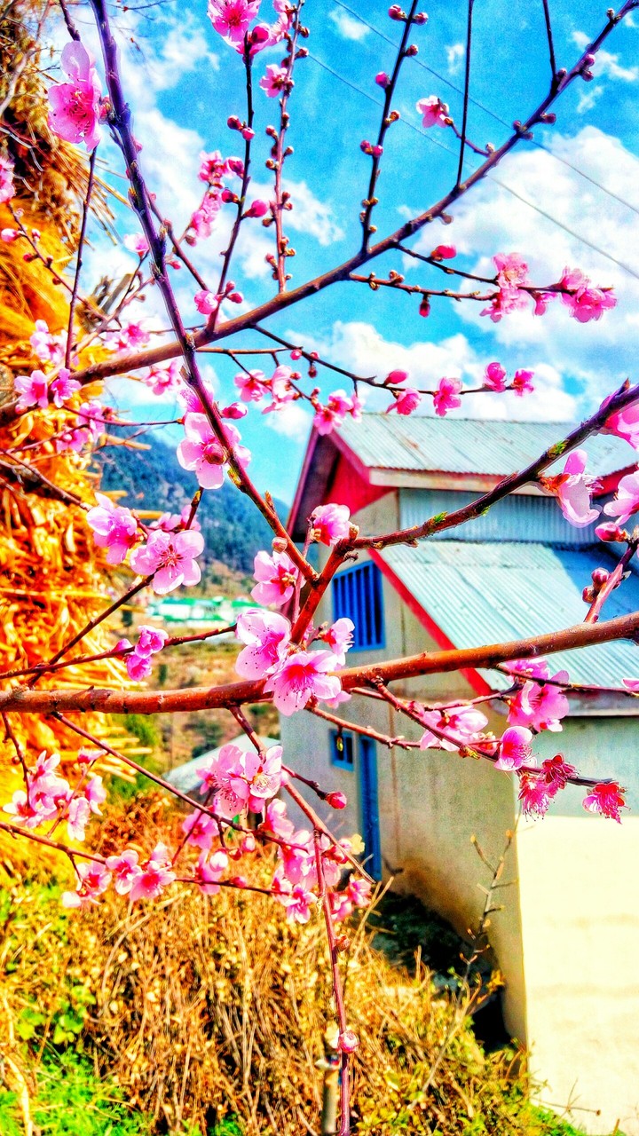 The onset of Spring