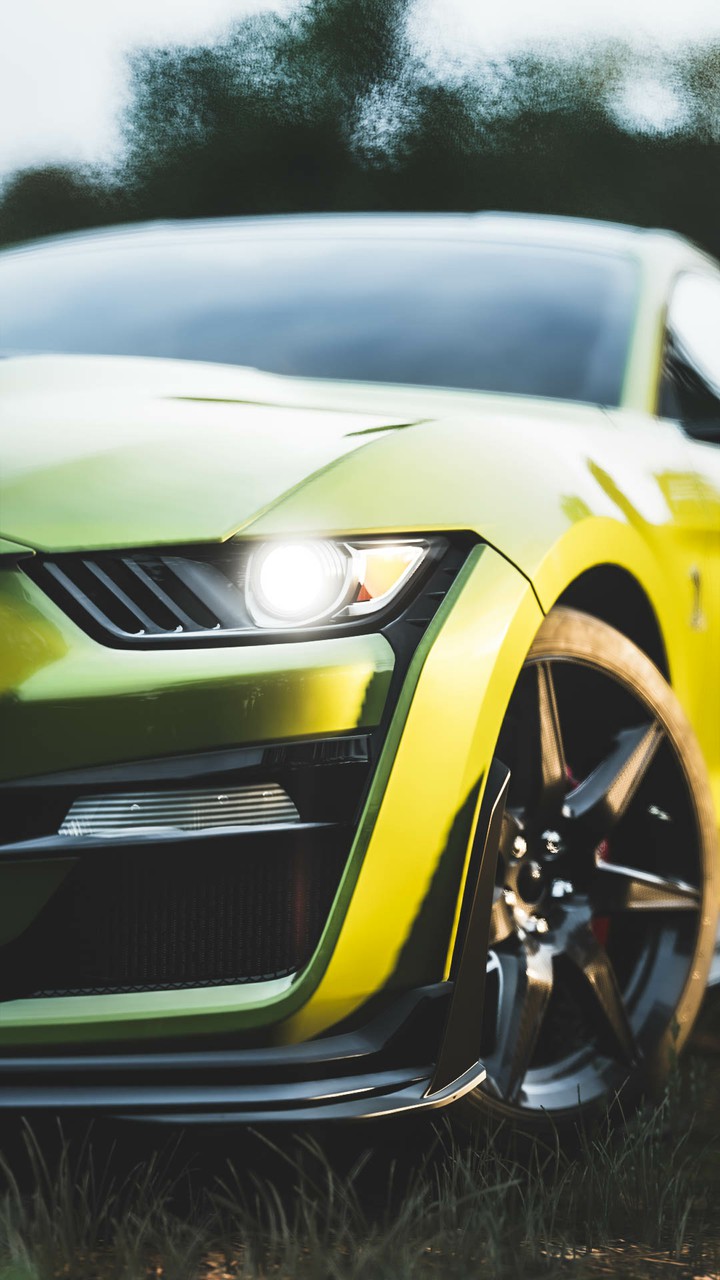 Shelby Mustang