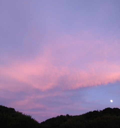 Evening sky