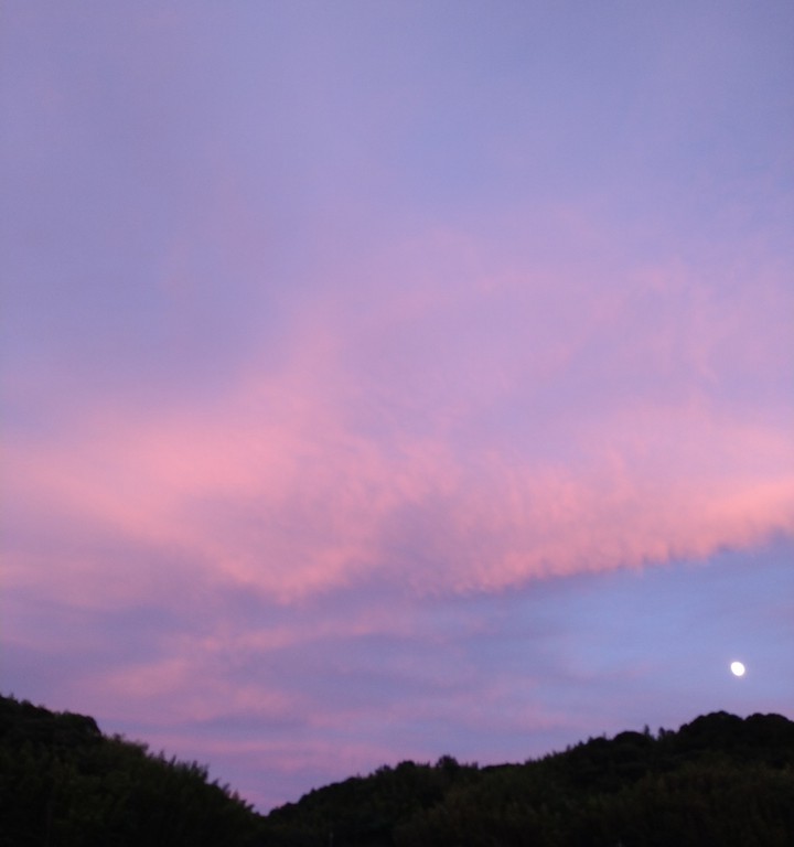 Evening sky