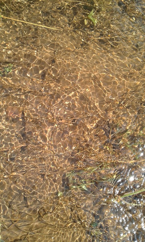 water
