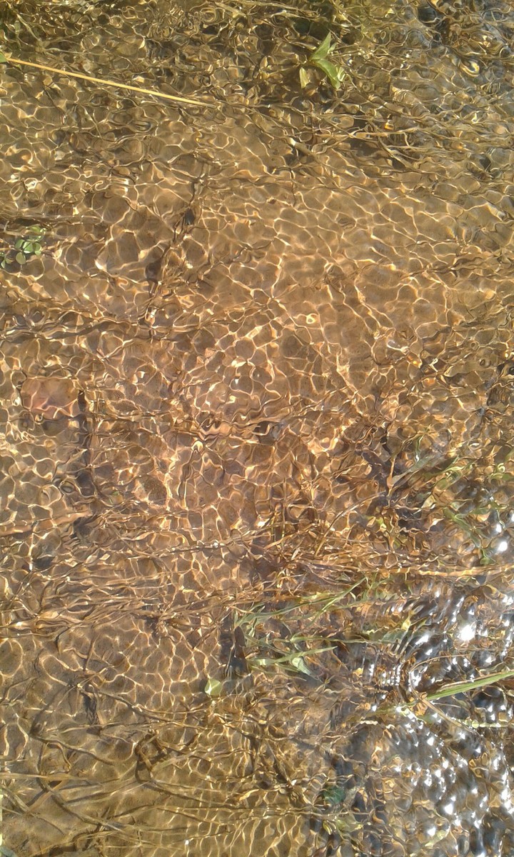 water