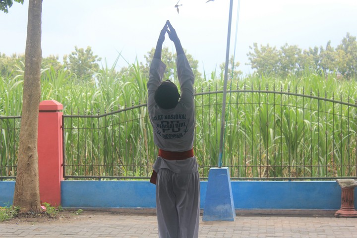 sbs