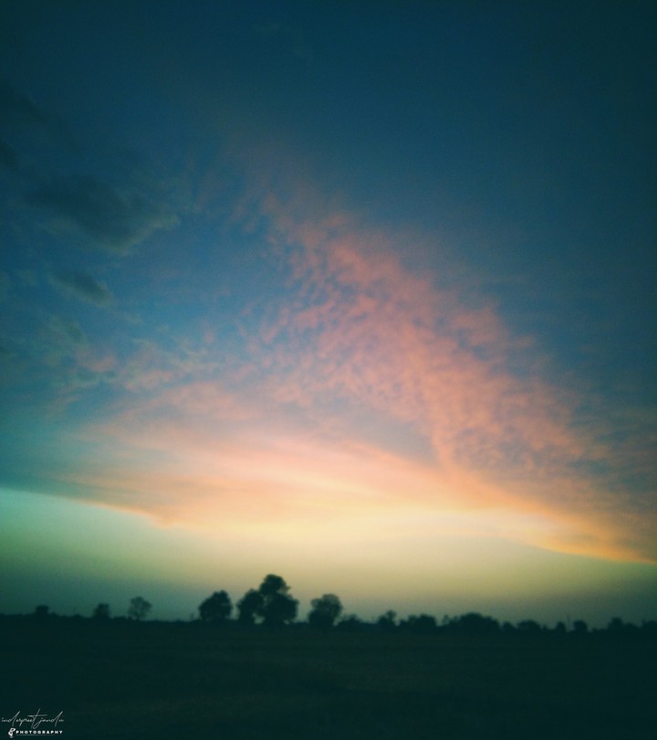 nature beauty