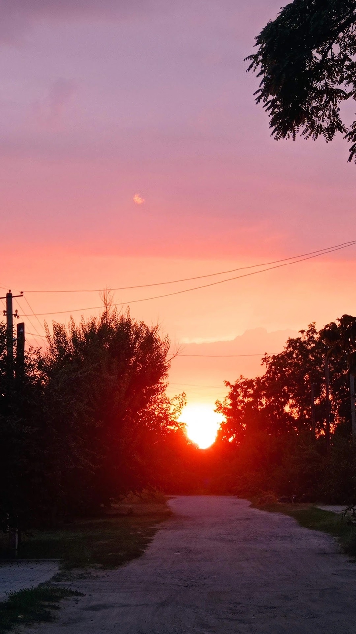 sunset