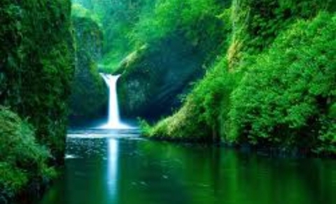 шпалери waterfall, spring