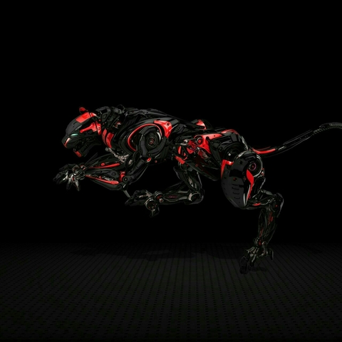 tiger
