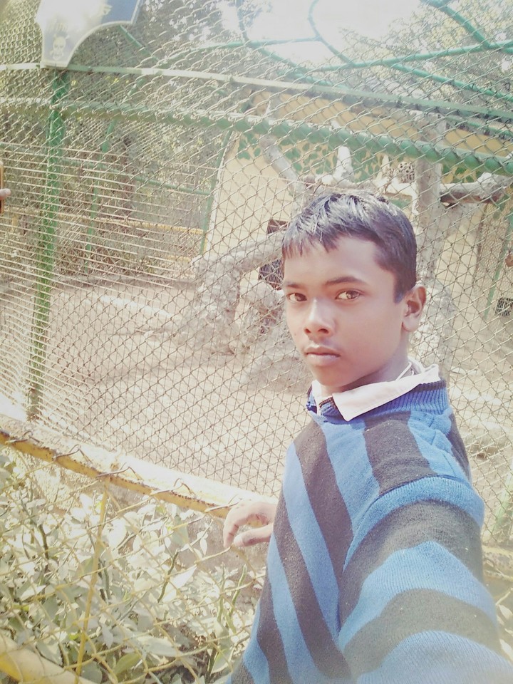 star