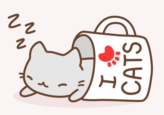 котик