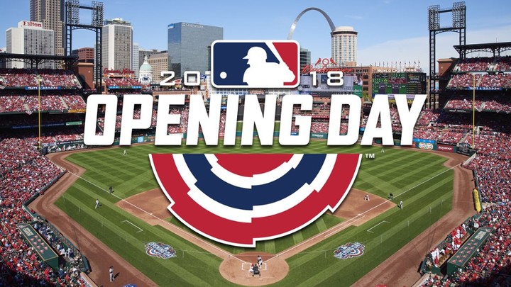 St. Louis Cardinal Baseball