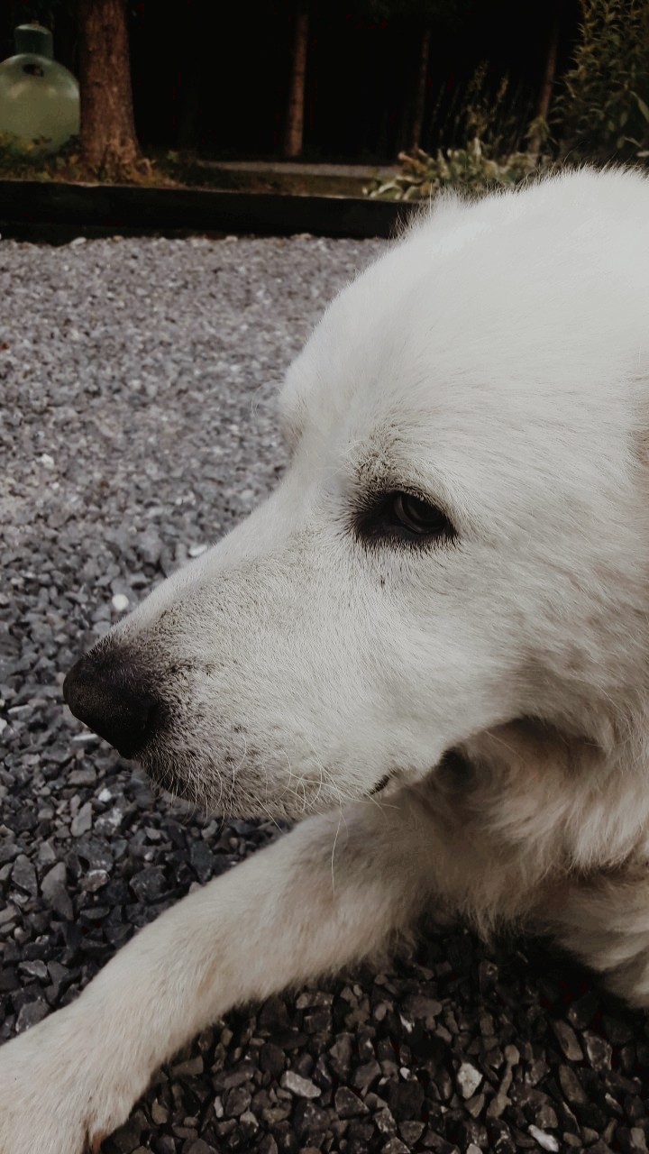 ❤