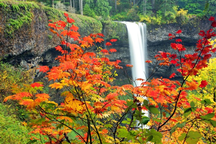 cascada