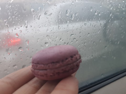 macaron