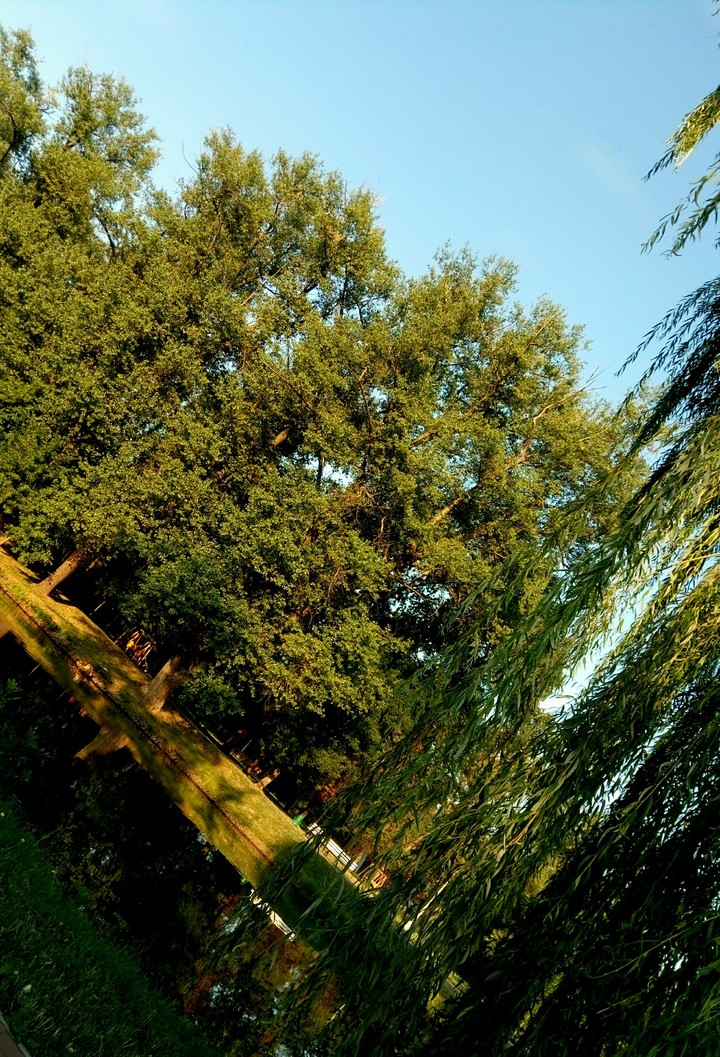 Summer