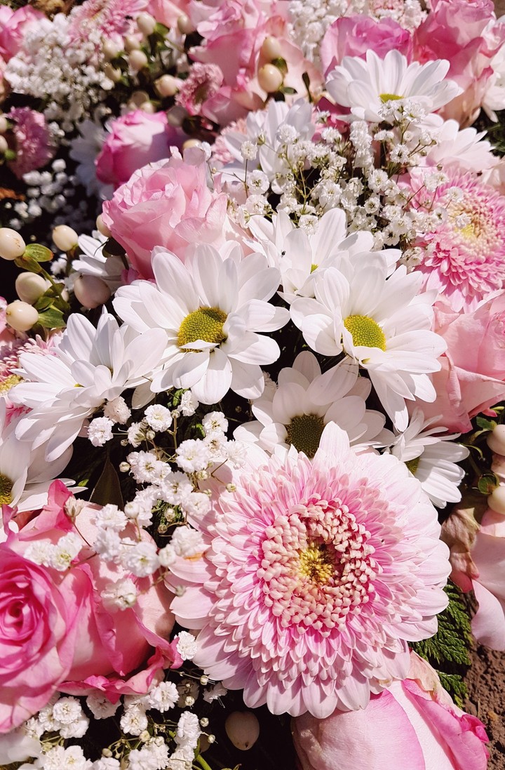 flowertime