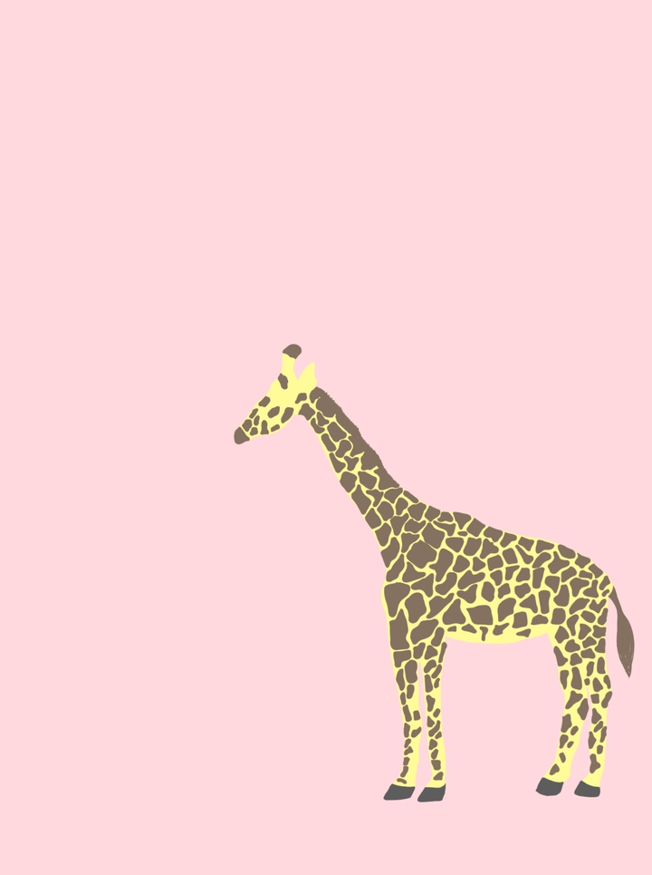 animal