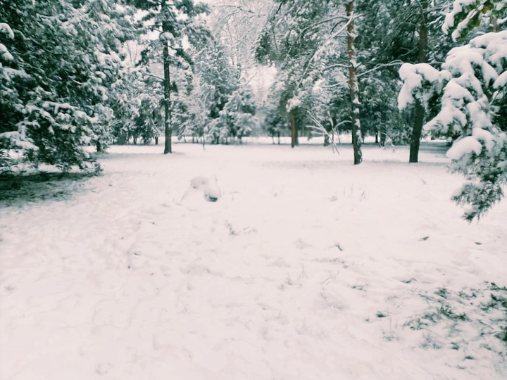 зима