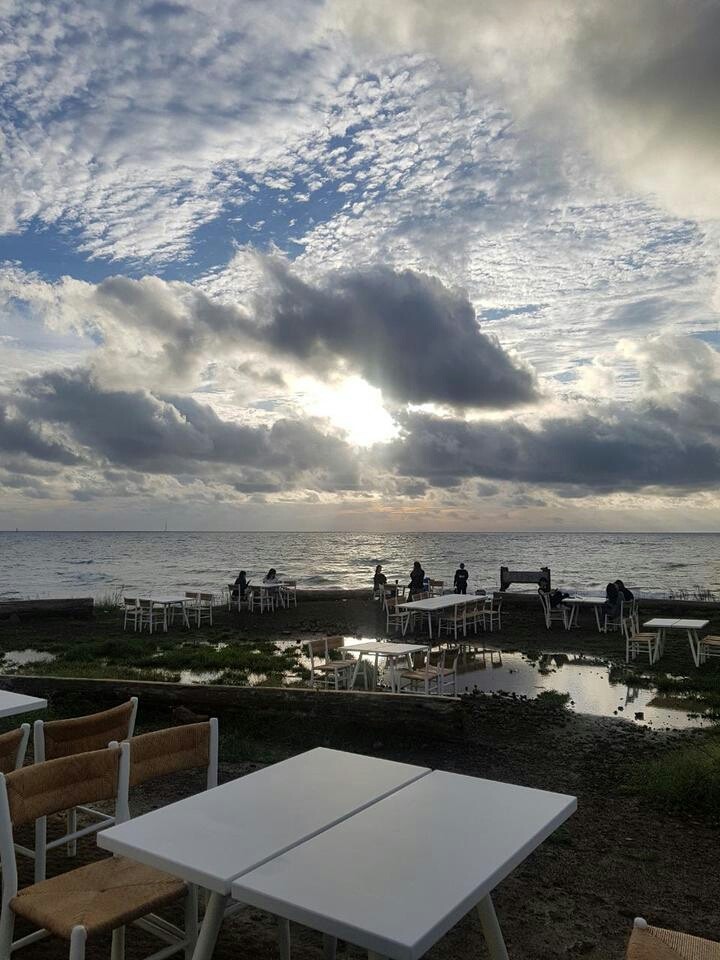 Cafe