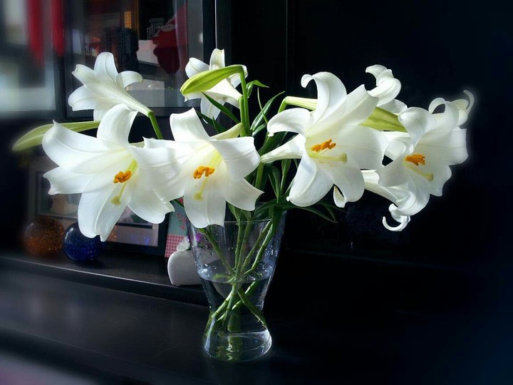 SK~flowers