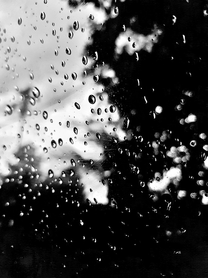 rain trope