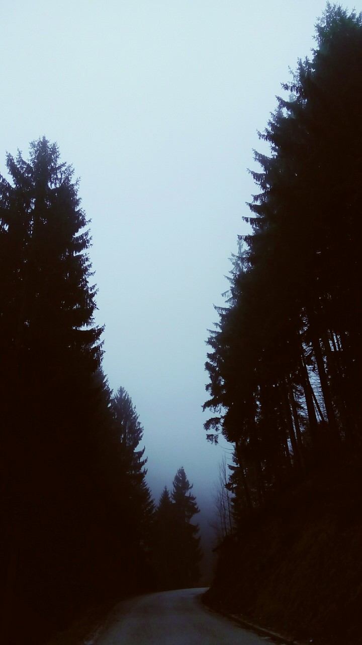 Into the dark