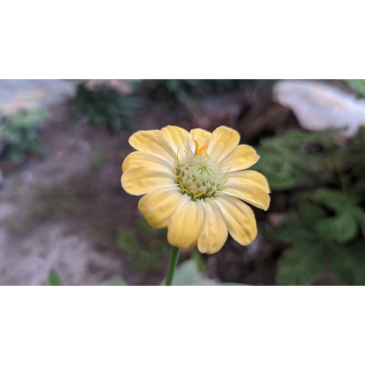 #Україна #літо #summer   2021