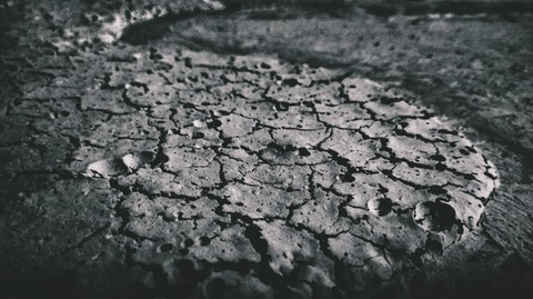 MOON CRUST