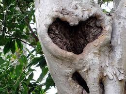 the nature Is fantastic